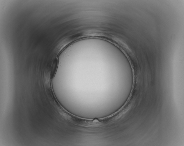 X0000111031273200906251110