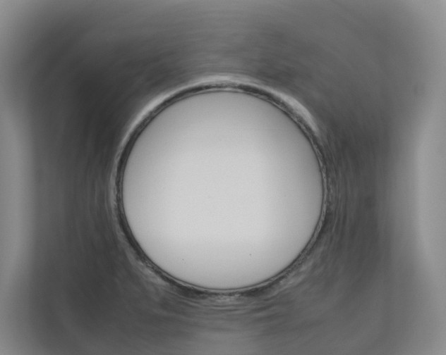 X0000111031279200906251110