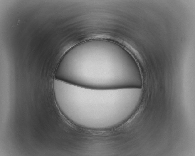 X0000111031281200906251110