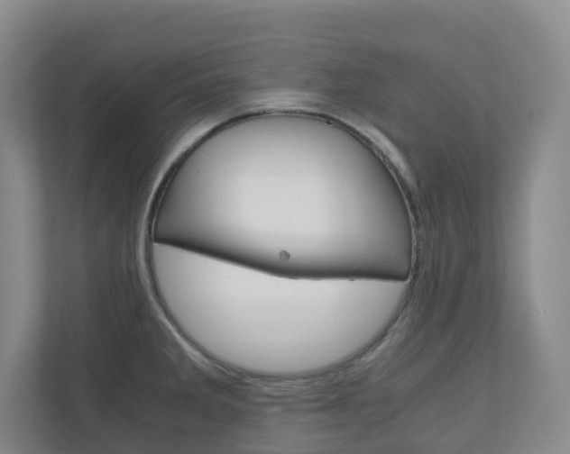 X0000111031285200906251110