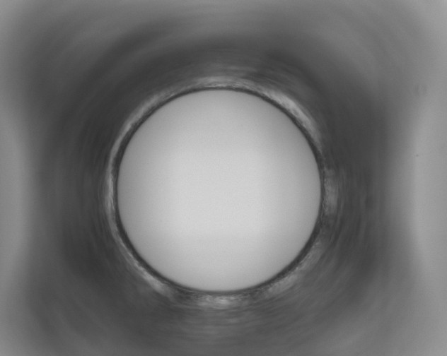 X0000111031286200906251110