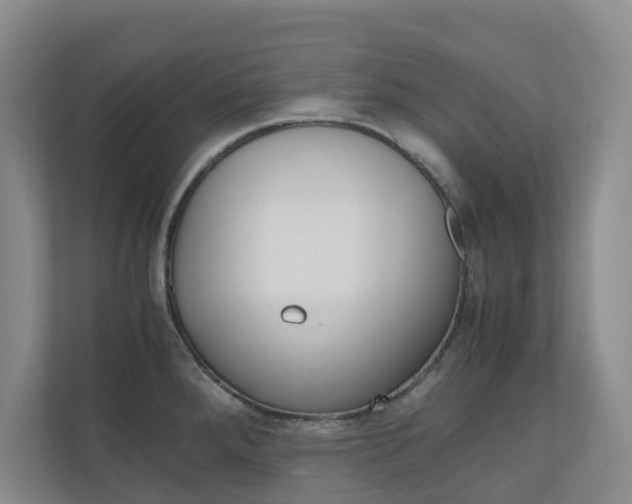 X0000111031288200906251110