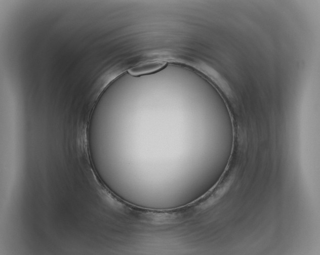 X0000111031289200906251110