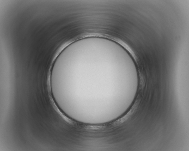 X0000111031290200906251110
