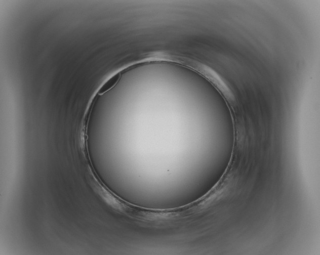 X0000111031292200906251110