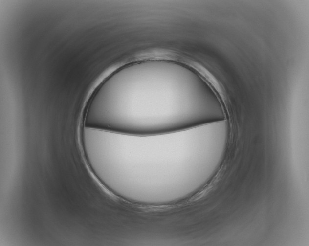 X0000111031293200906251110