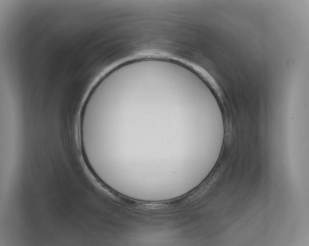 X0000111031295200906251110