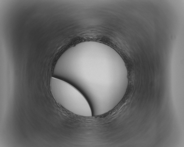 X0000111031297200906251109