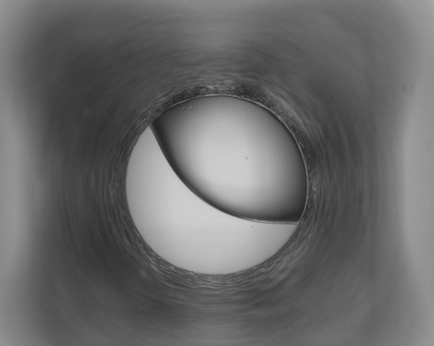 X0000111031298200906251109