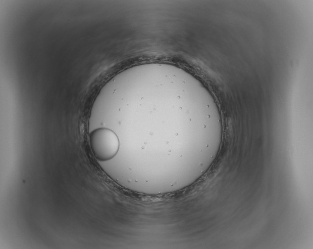 X0000111031302200906251109