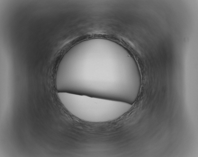 X0000111031303200906251109