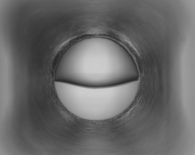 X0000111031304200906251110
