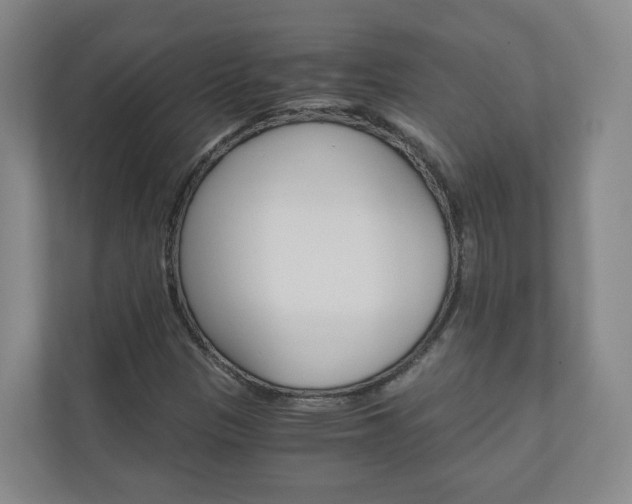 X0000111031305200906251110