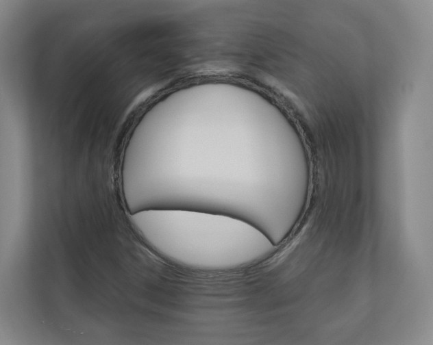 X0000111031306200906251110