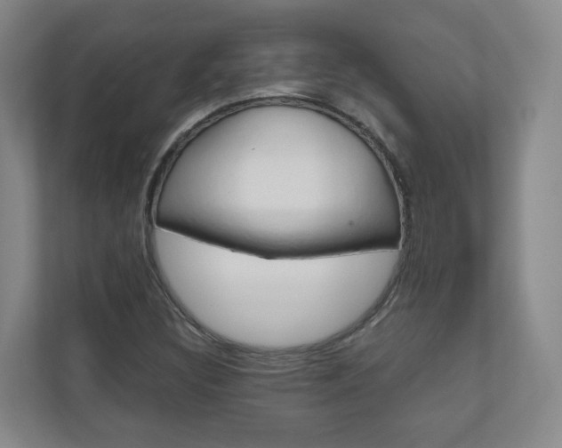 X0000111031308200906251110