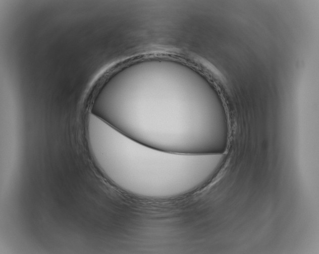X0000111031310200906251110