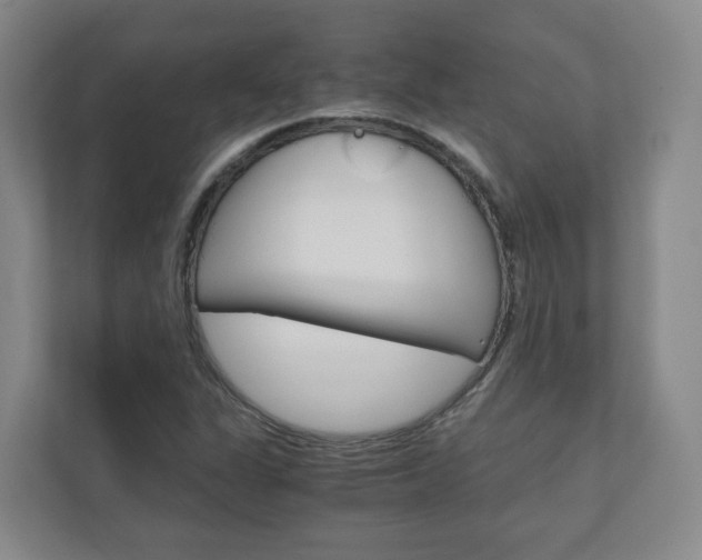 X0000111031311200906251110