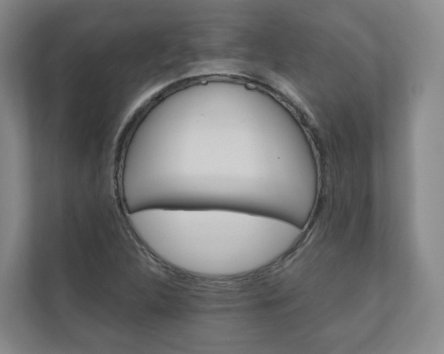 X0000111031312200906251110