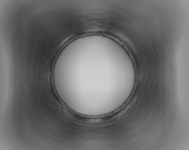 X0000111031313200906251110