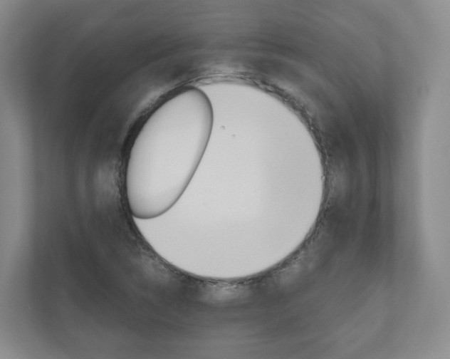 X0000111031314200906251110