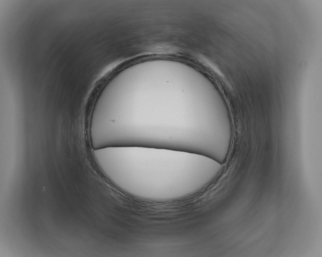 X0000111031315200906251110