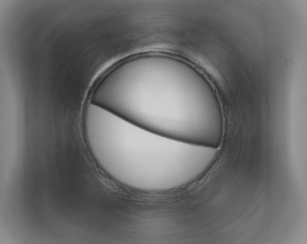 X0000111031316200906251110