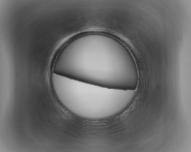 X0000111031319200906251110