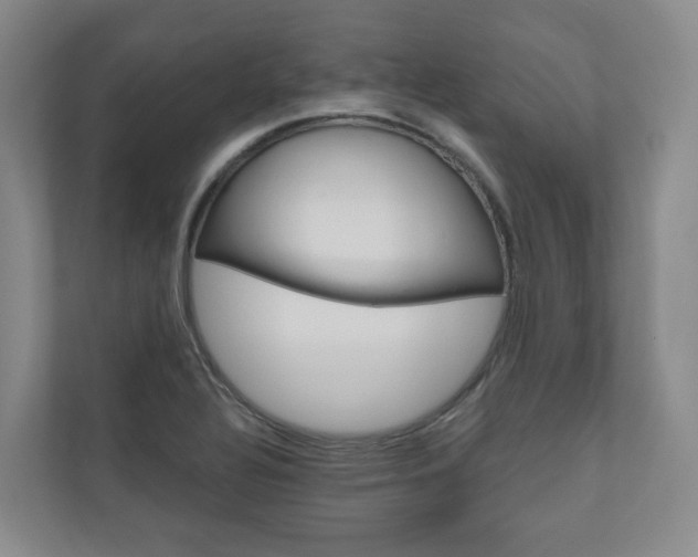 X0000111031320200906251110