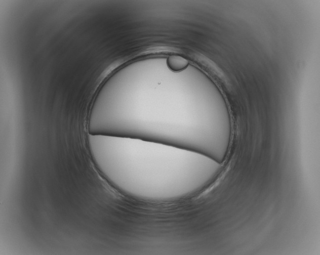 X0000111031321200906251110