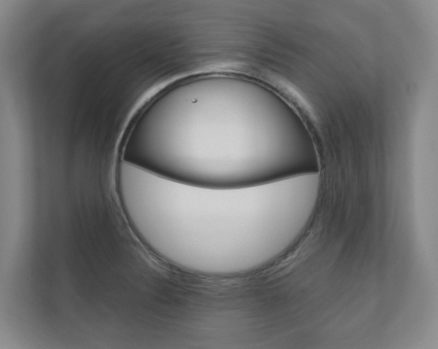 X0000111031324200906251110