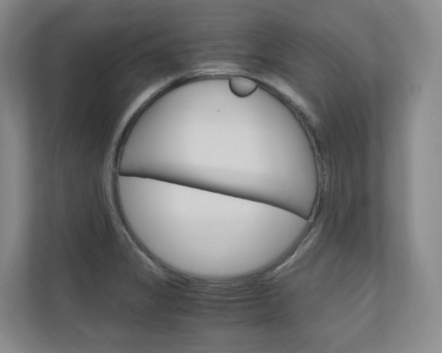 X0000111031325200906251110