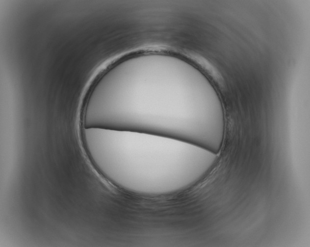 X0000111031327200906251110