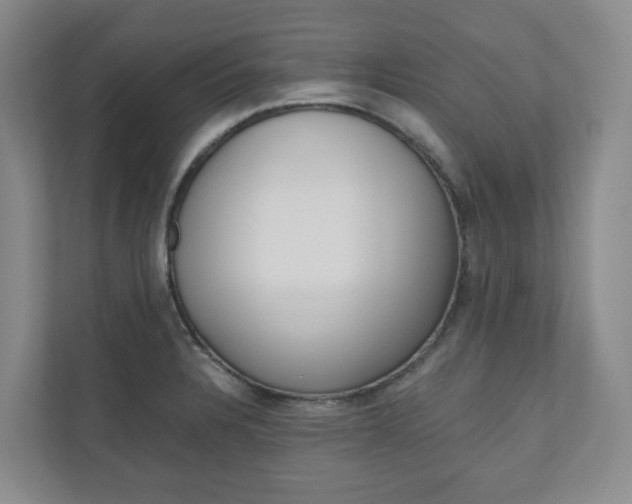 X0000111031328200906251110
