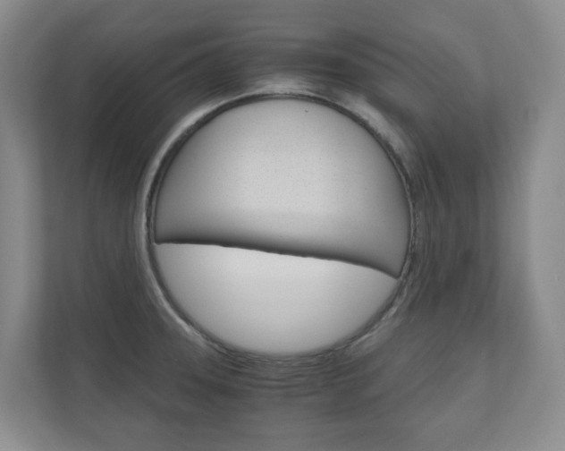 X0000111031331200906251110