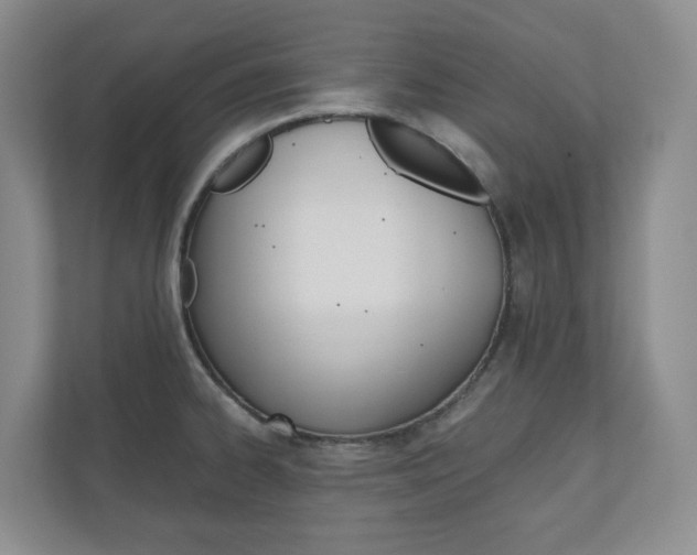 X0000111031334200906251110