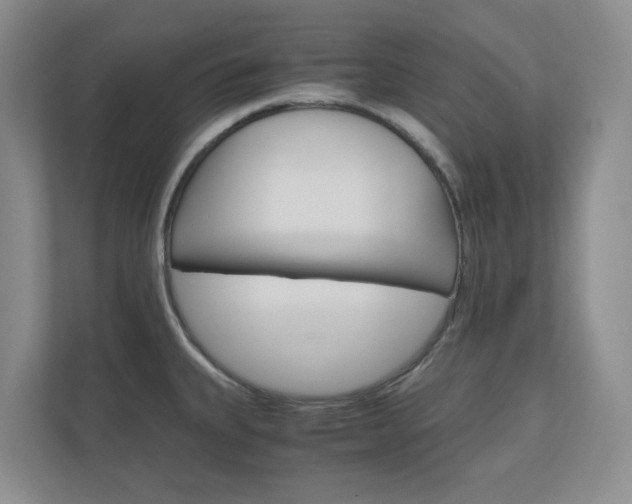 X0000111031335200906251110