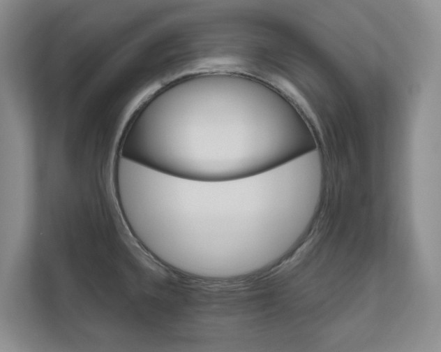 X0000111031336200906251110