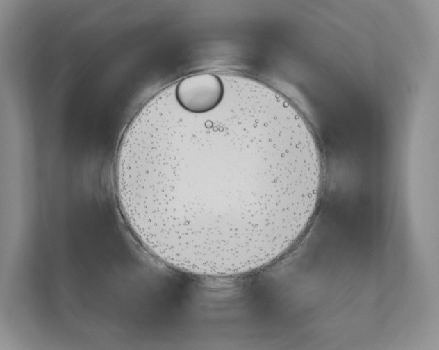 X0000111031338200906251110