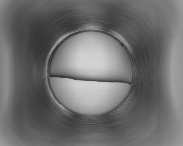 X0000111031339200906251110