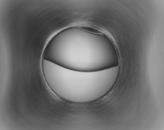 X0000111031344200906251110
