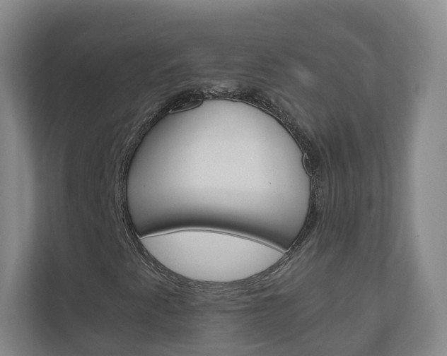 X0000111031345200906251109