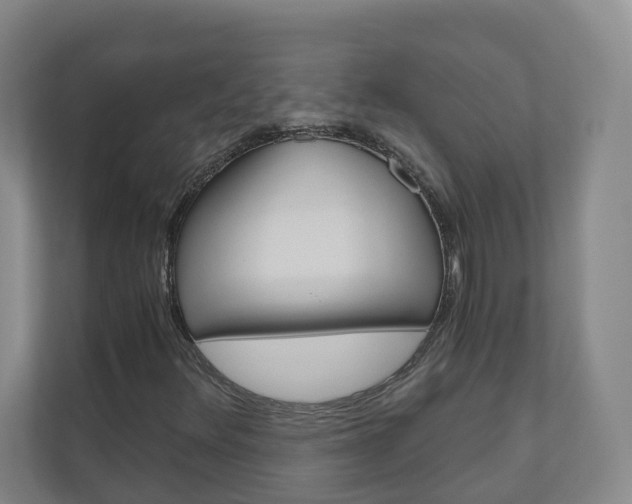 X0000111031348200906251109