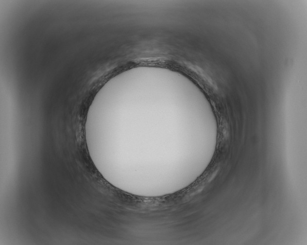 X0000111031350200906251109