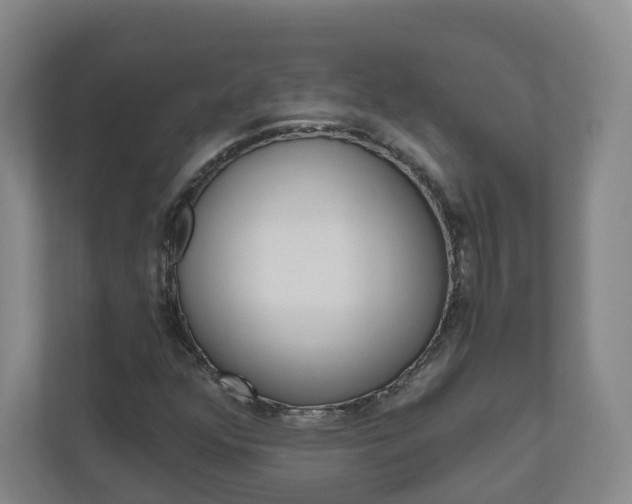 X0000111031352200906251109