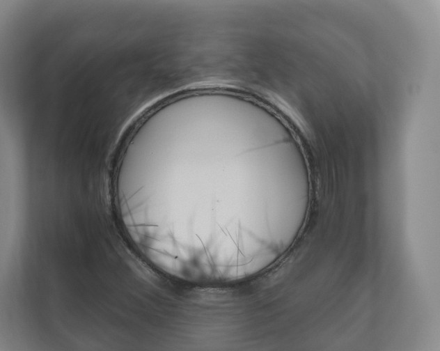 X0000111031356200906251109