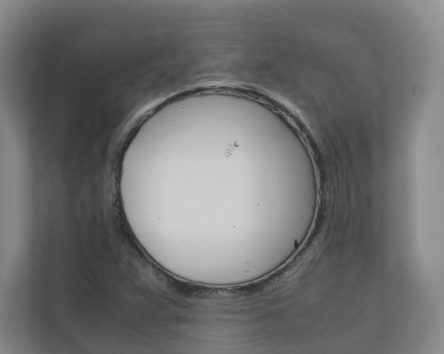 X0000111031359200906251109