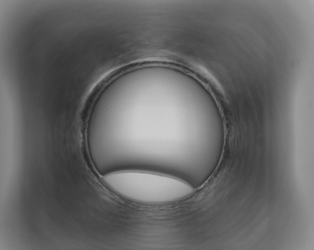 X0000111031360200906251109