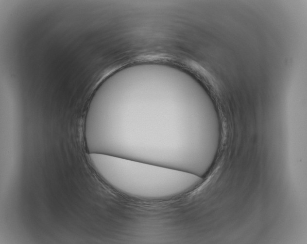 X0000111031361200906251109
