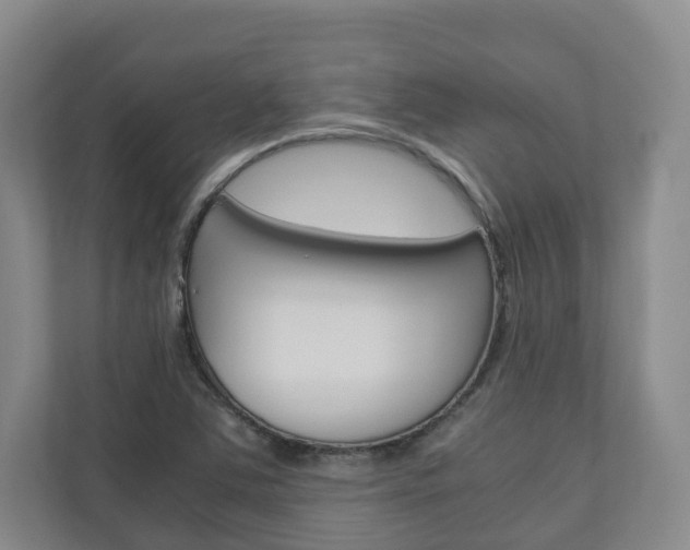 X0000111031363200906251109