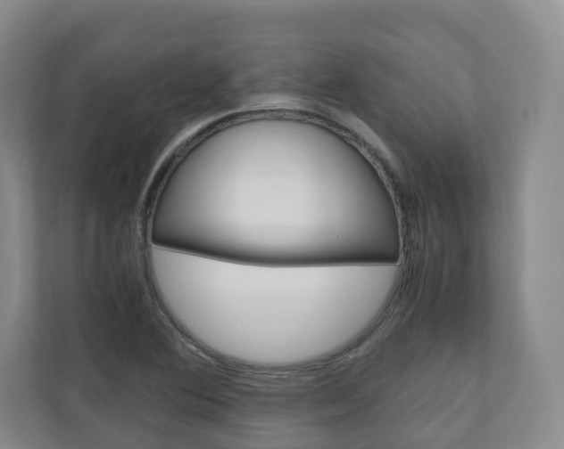 X0000111031364200906251109